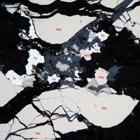 Cameronite, Tellurium, Arsenopyrite