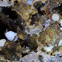Calcite, Aegirine-augite