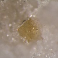 Gasparite-(Ce)