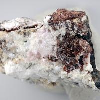 Canutite, Magnesiokoritnigite, Halite