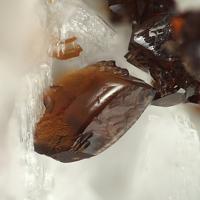 Canutite