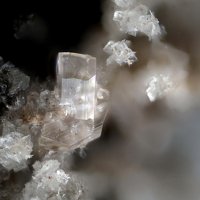 Falottaite