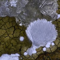 Dachiardite-Ca, Dachiardite-Na, Clinoptilolite-Ca