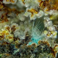 Quetzalcoatlite, Kettnerite, Perite