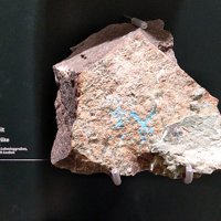 Nakauriite