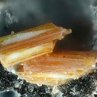 Bazhenovite