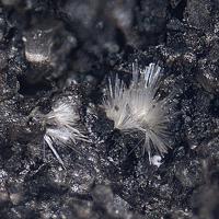 Calciodelrioite