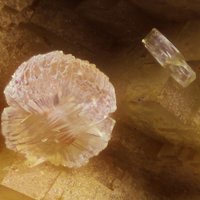 Sainfeldite, Dolomite