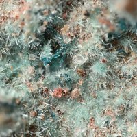 Davidbrownite-(NH4), Antipinite