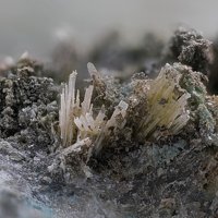 Lanarkite, Caledonite, Susannite