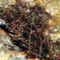 Gamagarite