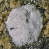 Tamarugite