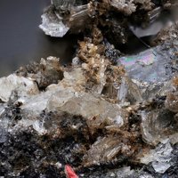 Umbite