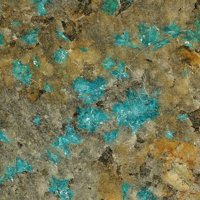 Sampleite