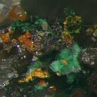 Eckhardite, Gold, Khinite