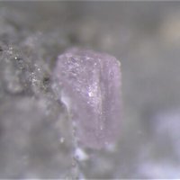 Lanthanite-(Nd)