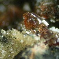 Jahnsite-(CaMnMn), Rittmannite