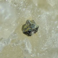 Vaesite