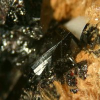Palenzonaite