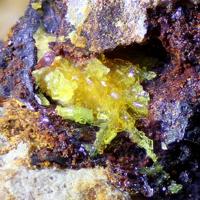 Bassetite