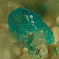 Salesite