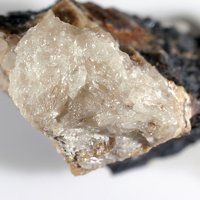 Nasonite