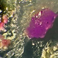 Sainfeldite, Erythrite