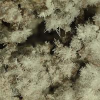 Aiolosite