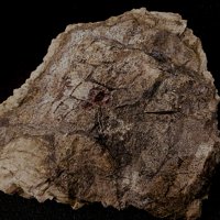 Iimoriite-(Y), Thalénite-(Y), Tengerite-(Y)