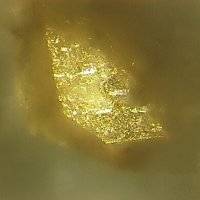 Gasparite-(Ce)