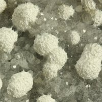 Tacharanite, Phillipsite Subgroup