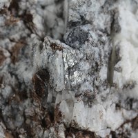 Macfallite, Braunite, Calcite