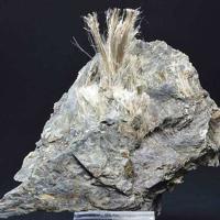 Balangeroite