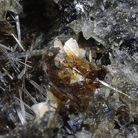 Kalsilite