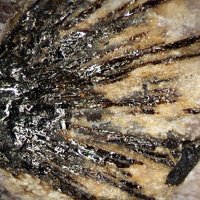 Umbozerite, Ussingite