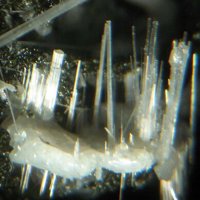 Kaliophilite