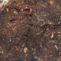 Caryopilite, Rhodonite