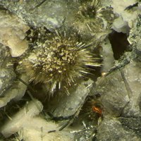 Galena, Aegirine, Labuntsovite-Mn