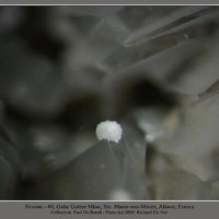 Rauenthalite, Phaunouxite