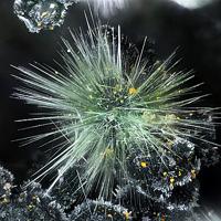 Agardite-(Y), Malachite