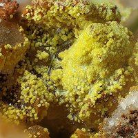 Gartrellite, Agardite-(Ce)