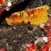 Raguinite
