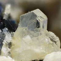 Capranicaite