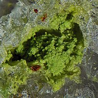 Gartrellite
