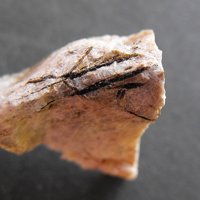 Umbozerite