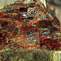 Lamprophyllite