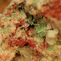 Ulrichite