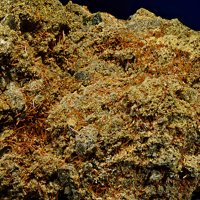 Kaersutite