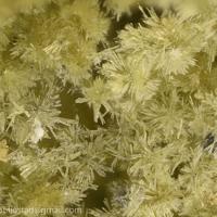 Adranosite-(Fe)