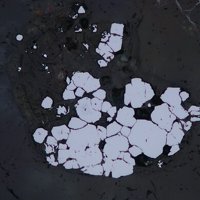 Vaesite, Muscovite, Goethite